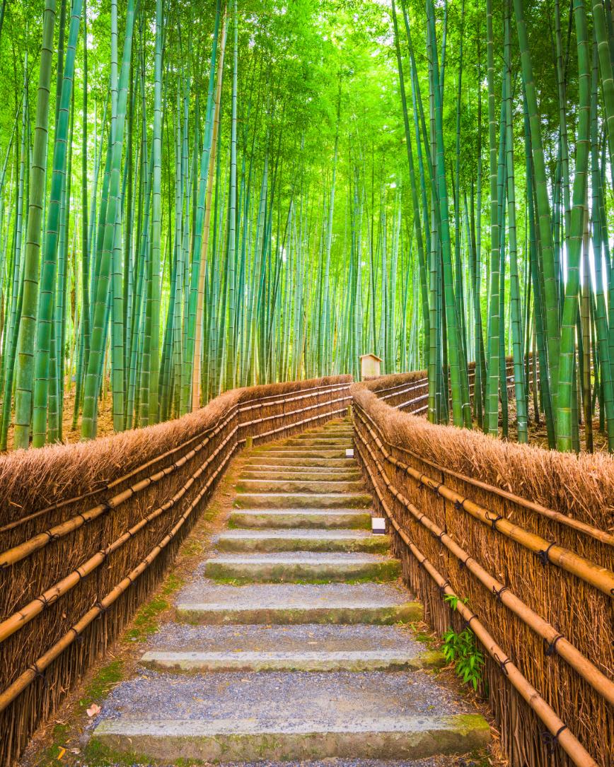 Revisione Tassa Di Soggiorno Kyoto