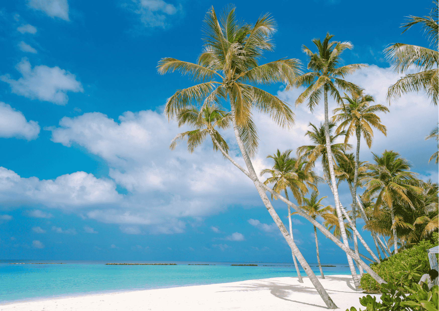 Vacanza in italia? ritorna la formula futura surprise!