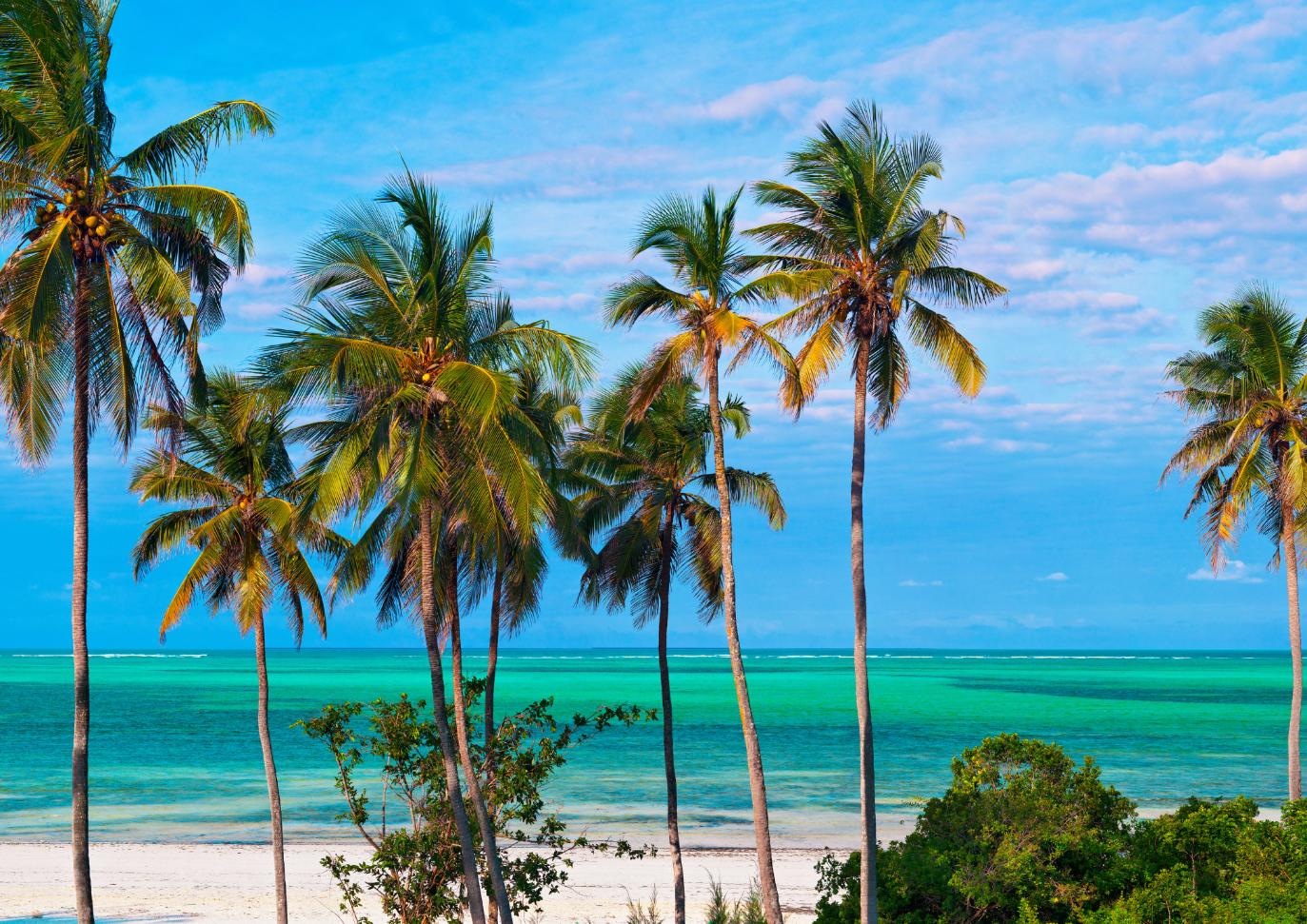 Capodanno a Zanzibar
